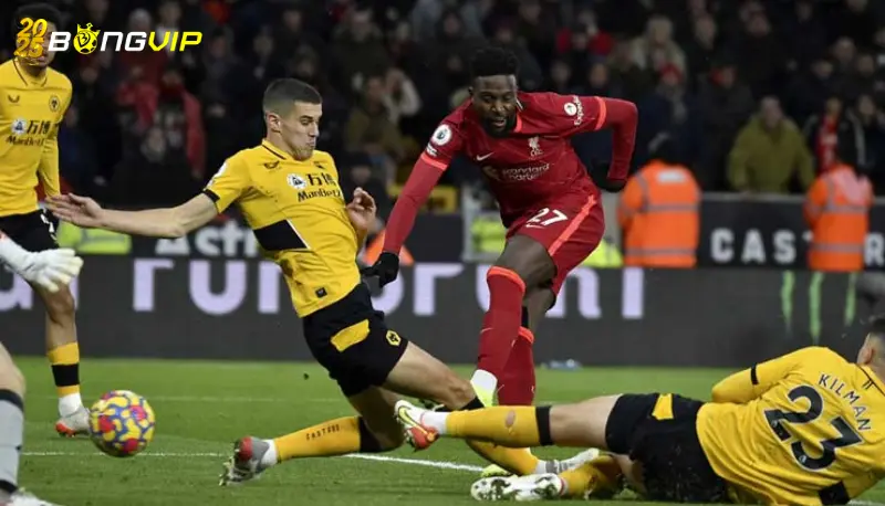 Soi kèo Liverpool vs Wolves 16/02 giải Ngoại Hạng Anh Đội hình ra sân tại soi kèo Liverpool vs Wolves